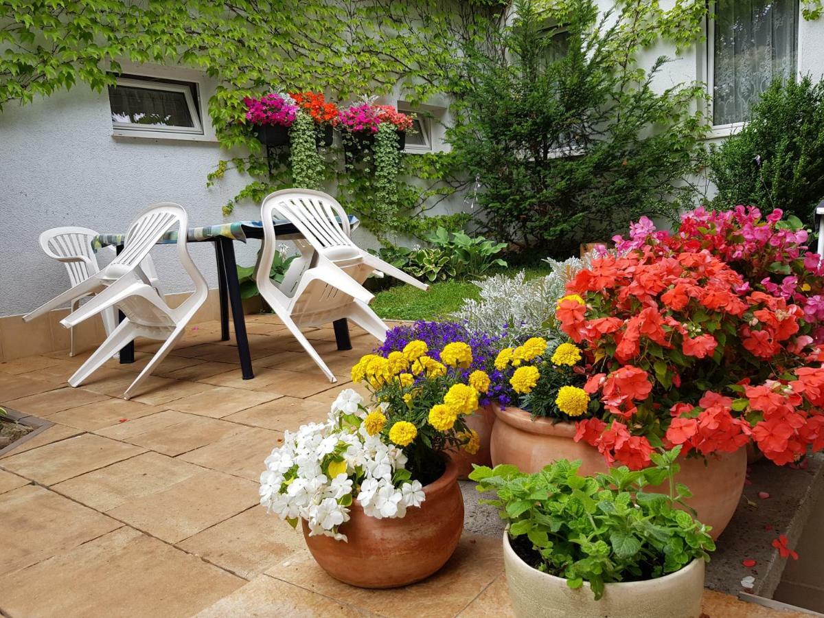 Pokoje I Apartamenty Przy Sosnowej พอดดองบีแย ภายนอก รูปภาพ